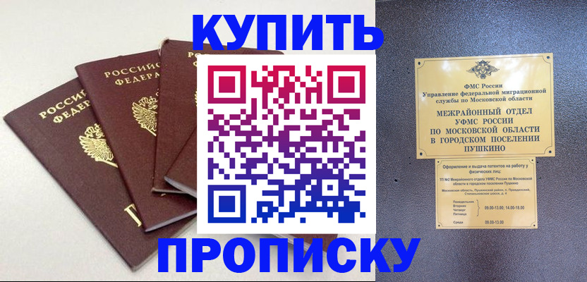 временная регистрация собственник в Петропавловске-Камчатском